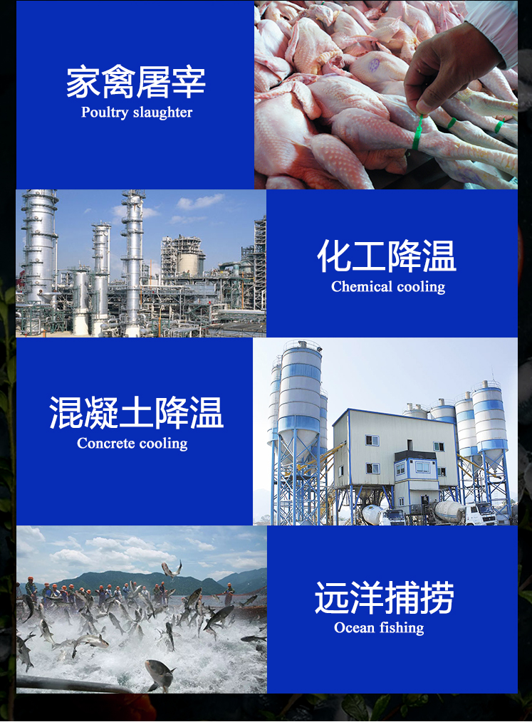 200公斤至30吨片冰机(图6)